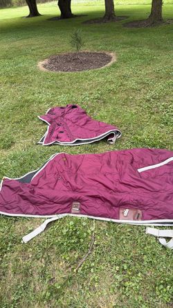 Quilted horse blanket and hood maroon