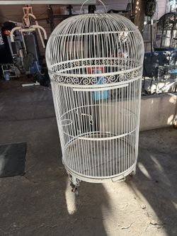 Bird Cage It’s 5’ Tall