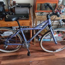 1990s Cannondale bike Silk Path 300 AT18 CAD2 Like New Made In USA