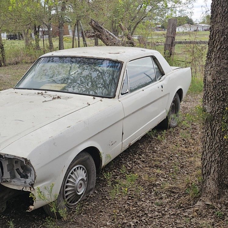 1966 Ford Mustang