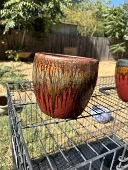 2 Red Rox Flowerpot