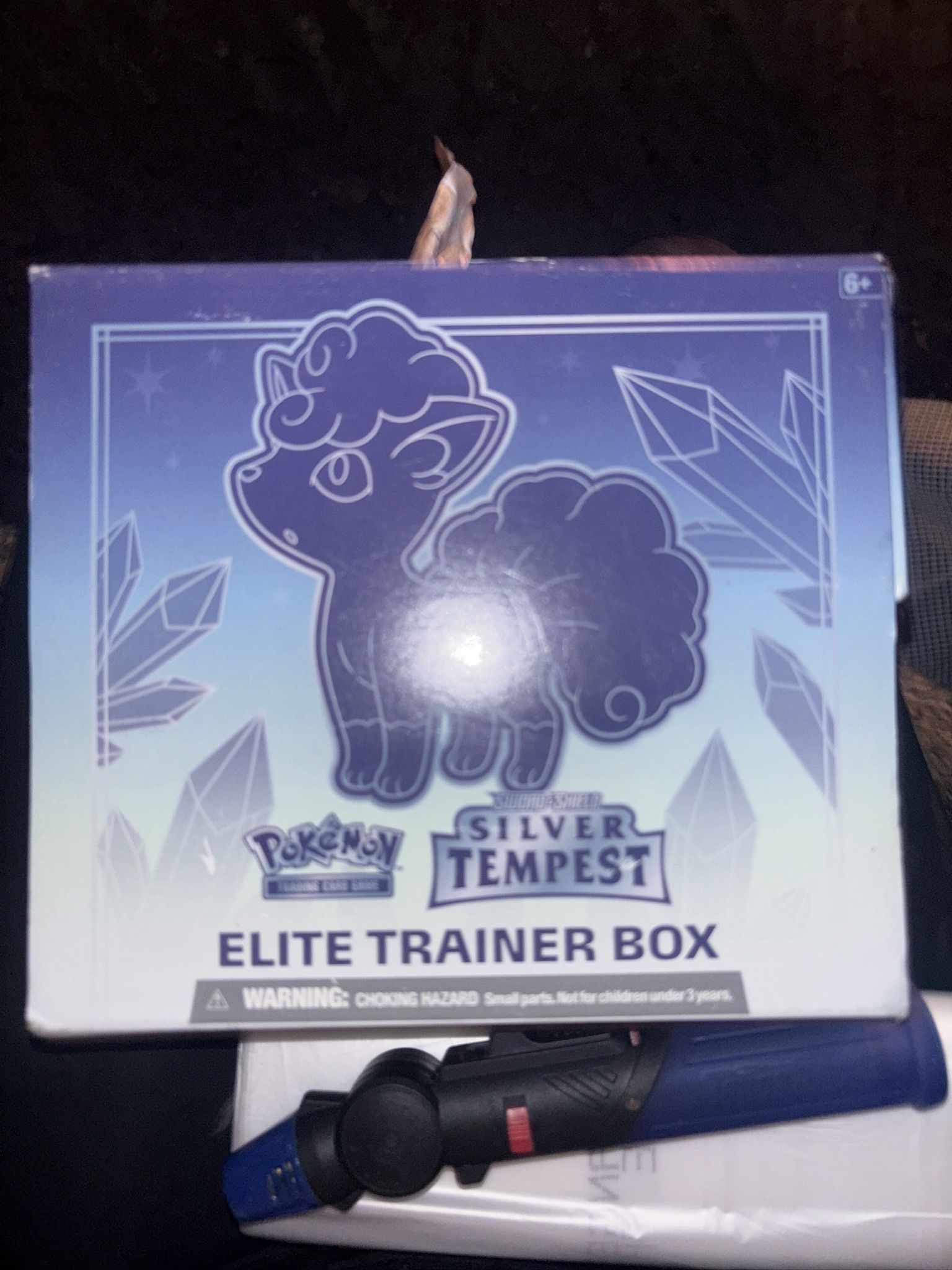 The item is a Pokémon Trading Card Game (TCG) Sword & Shield—Silver Tempest Elite Trainer Box (ETB)