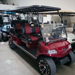 Evolution 6-Seater LSV Golf Cart