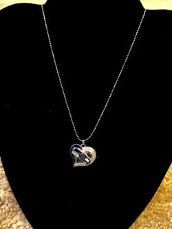 Seahawks Pendant with necklaces