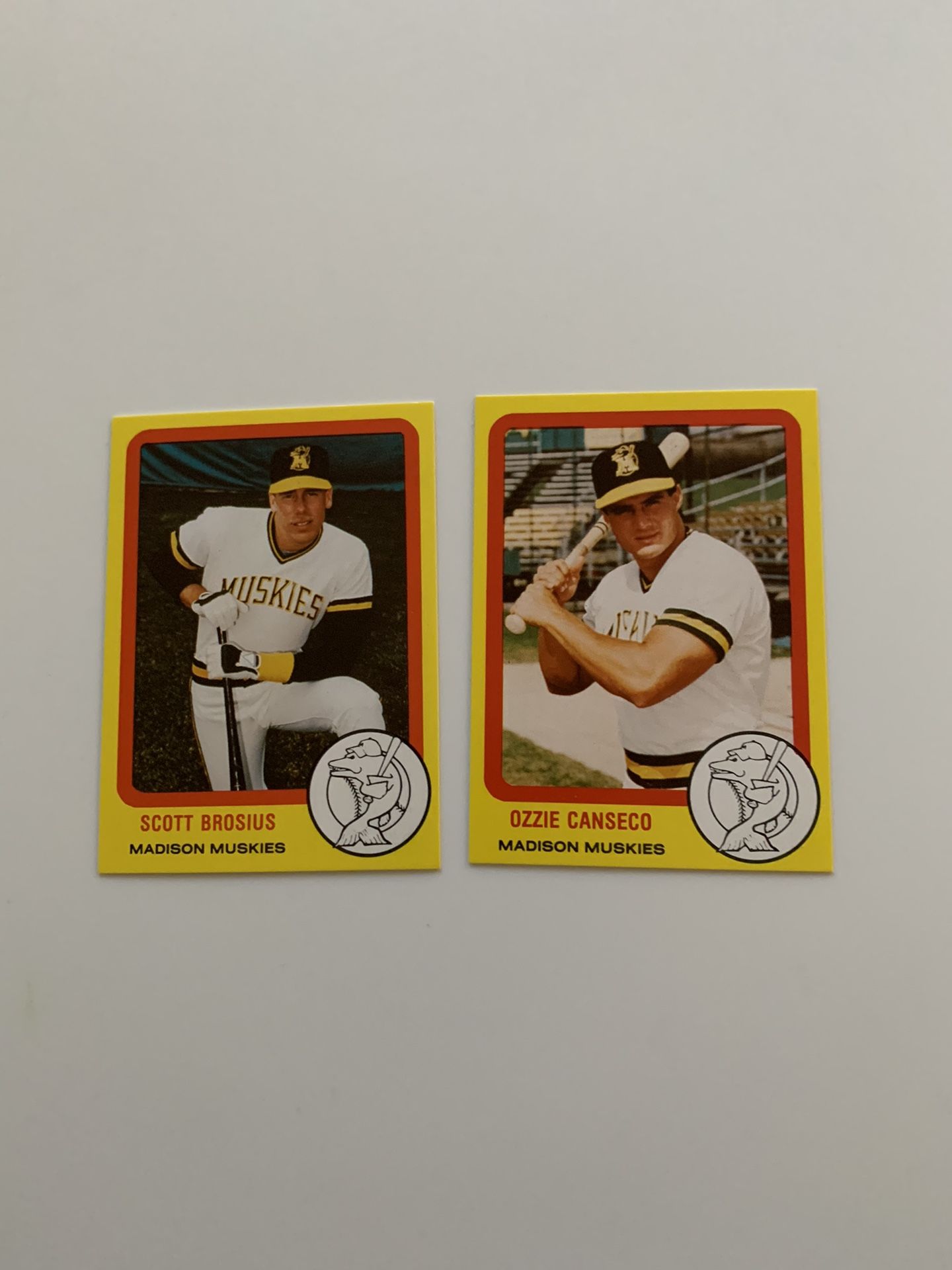 MINOR LEAGUE BASEBALL CARD SETS: Madison Muskies (1988) & West Virginia Power (2005)