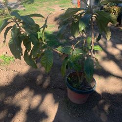 Puerta Y Ventana Usada Muy Buen Estado 