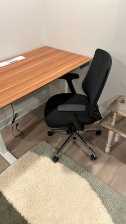 Branch Ergonomic Chair