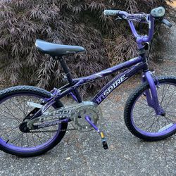 20” Bike (Inspire)
