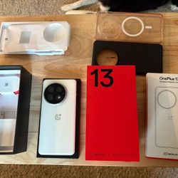 OnePlus 13 Frost White 