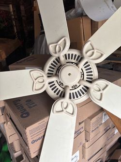 Ceiling fans