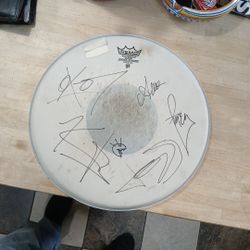Drum Head 