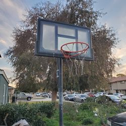 Basketball Hoop