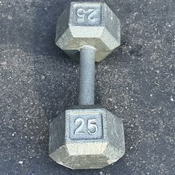 Single 25 LB Dumbbell for ONLY $25