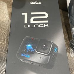 Go pro 12 black
