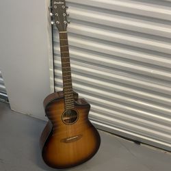 Breedlove Guitar