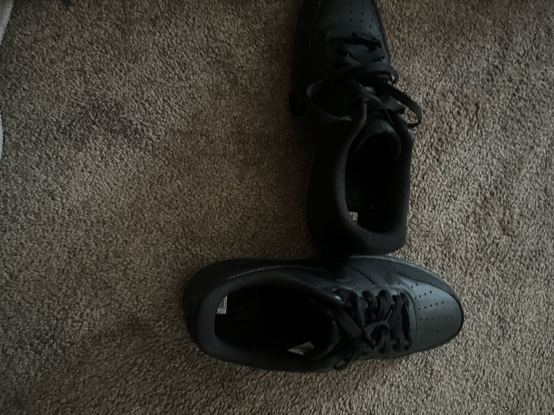 Black forces Gum bottom