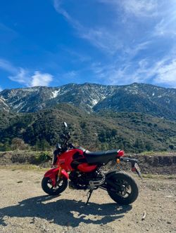 2025 Honda Grom