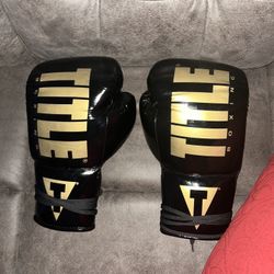 TITLE Boxing Inferno Intensity Lace Gloves With Punching Bag