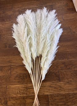 BOHO PAMPAS GRASS