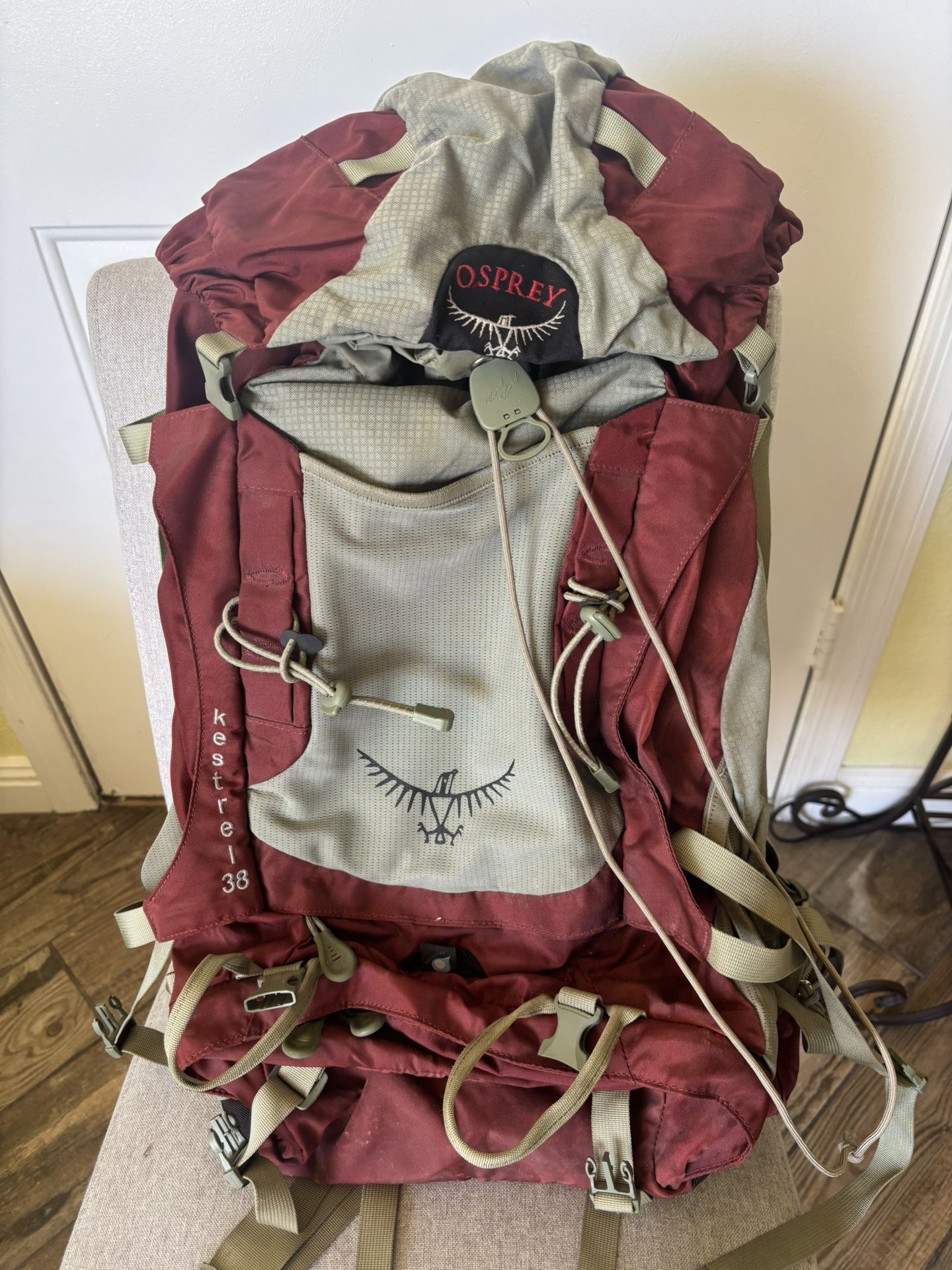 Osprey Hiking Backpack
