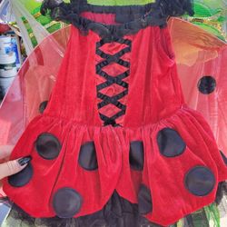Ladybug