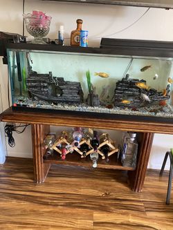 Fish tank 55 gallones