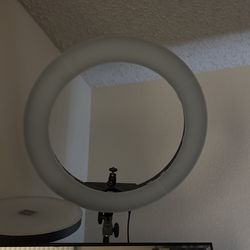 Neweer Ring Light 
