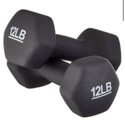 12 Lb Dumbbells 