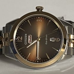 Citizen Rolan Men's Watch