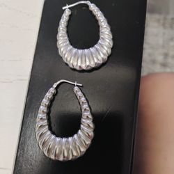 Shrimp Earrings Sterling Silver