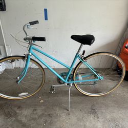Schwinn Classic Bike