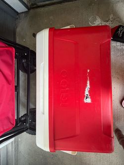 Igloo Hard Cooler/Hielera