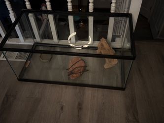 Reptile/fish tank