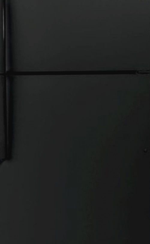 GE ENERGY STAR 21.9 Cu. Ft. Top Freezer Refrigerator