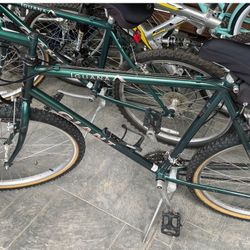 Giant Iguana Bikes 