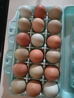 Fresh from farm
