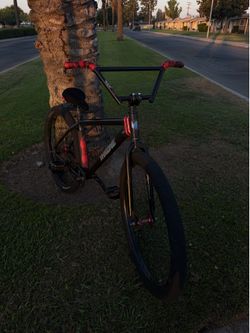 29er