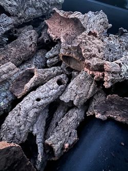 Cork bark wood terrarium reptile isopods