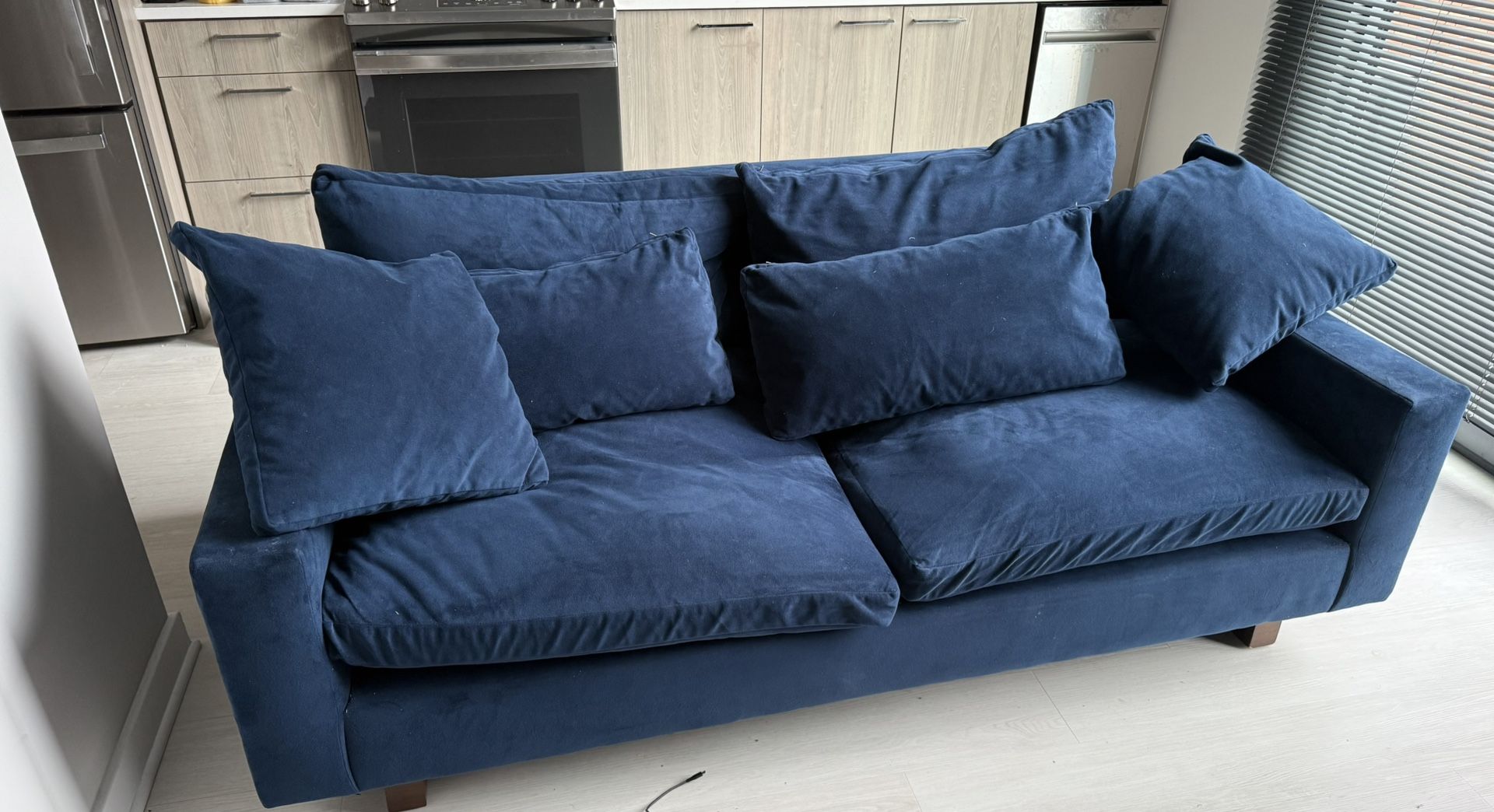 West Elm Couch and Chair