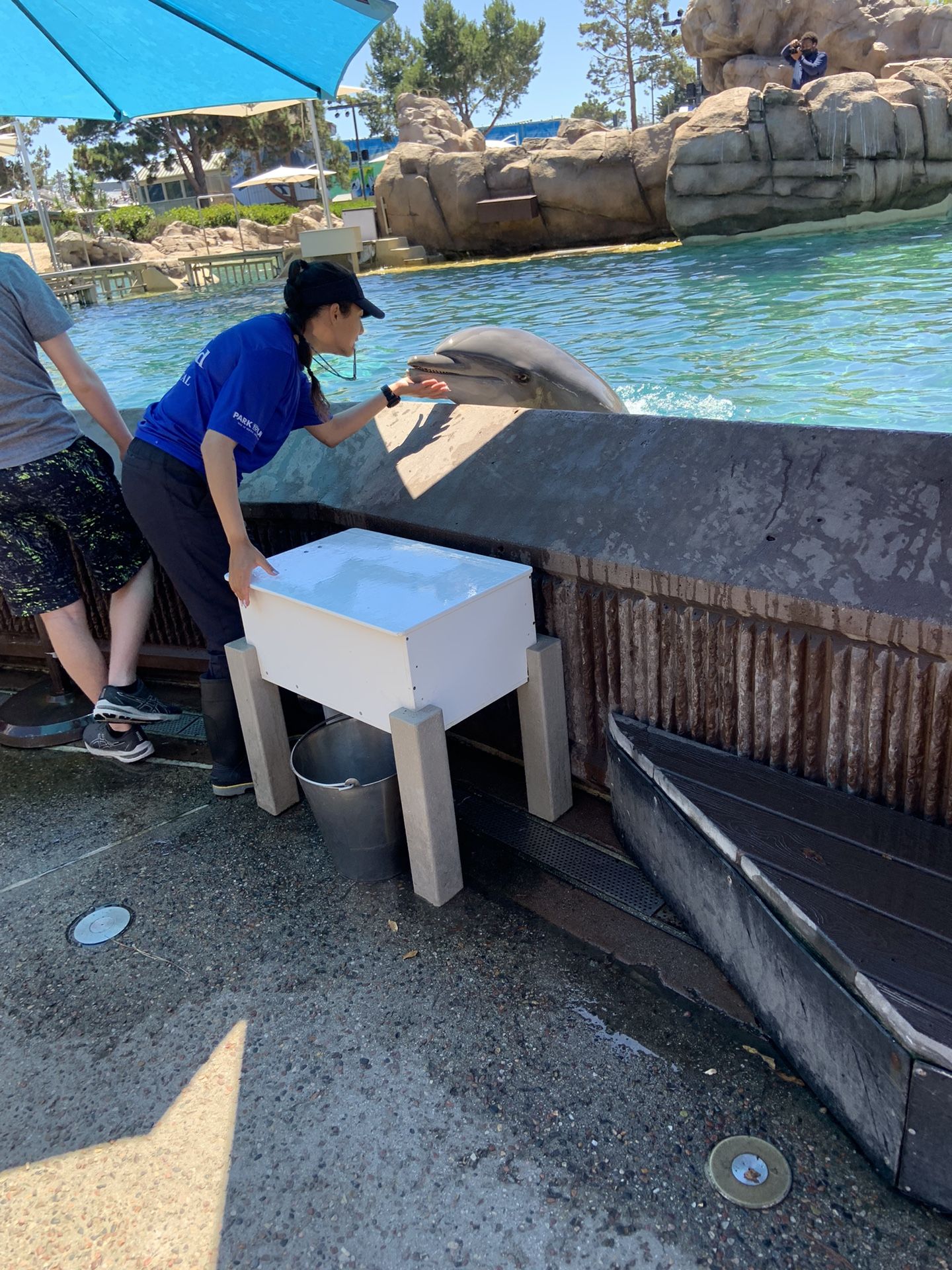 SeaWorld One Day Pass $50 EACH