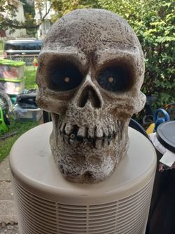 22 inches high really big talking skull