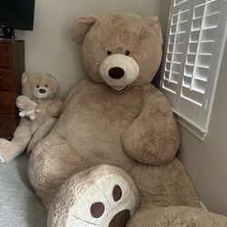 Giant Teddy Bear