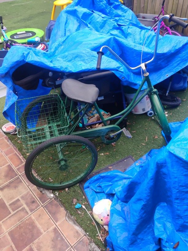 ADULT TRIKE