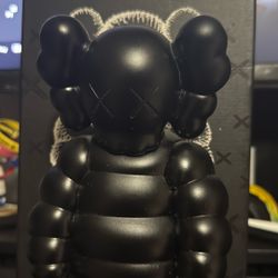 Kaws