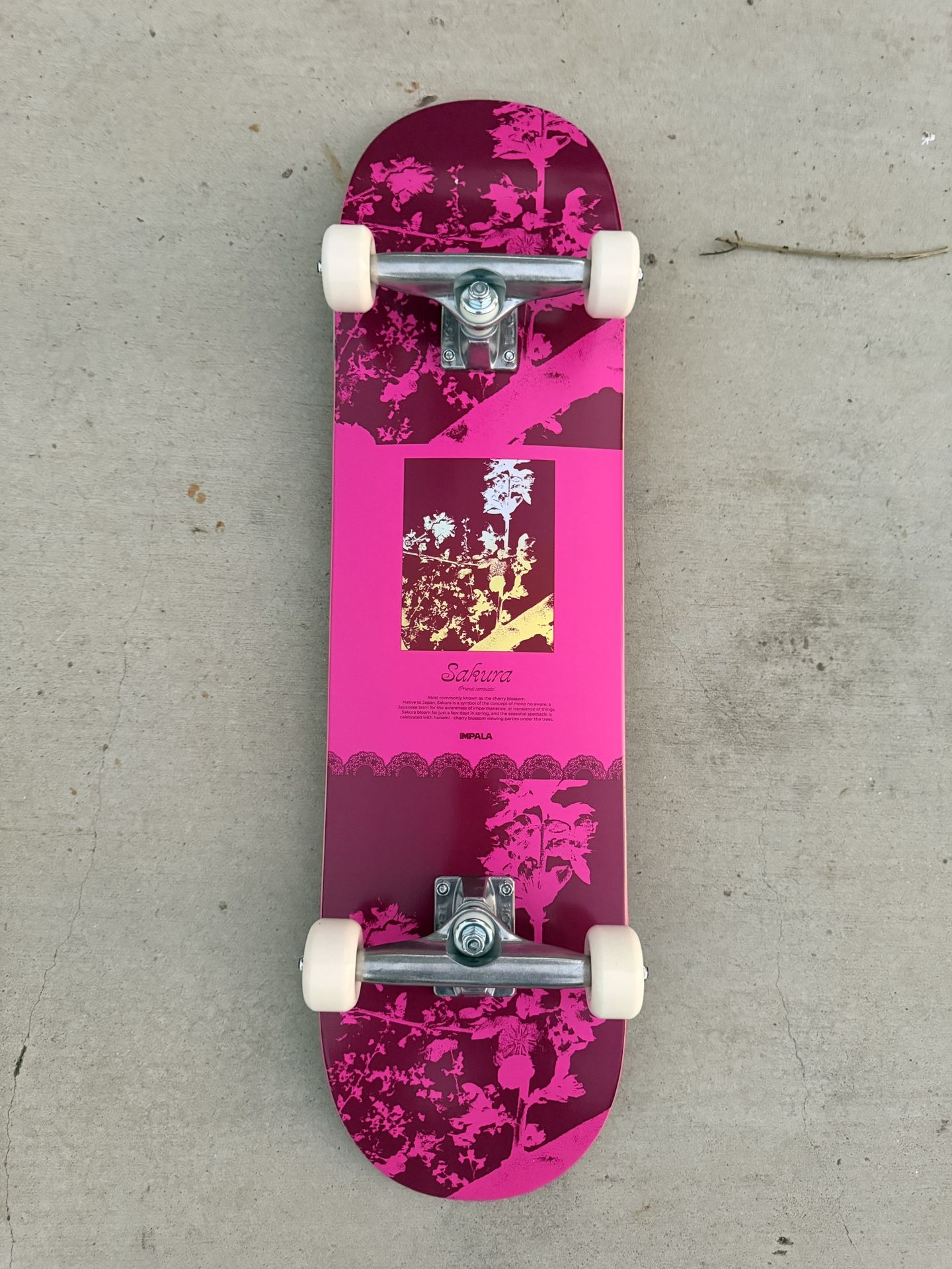 Brand New Skateboard