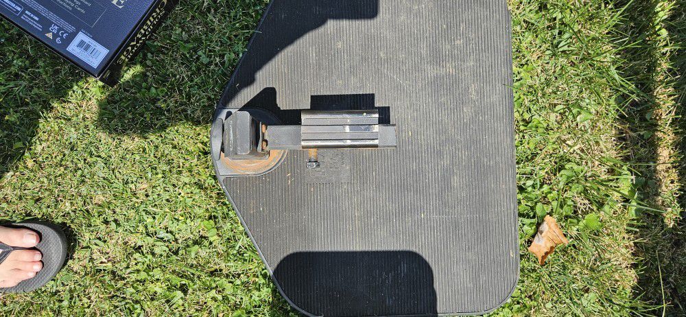 Dog Swivel Step