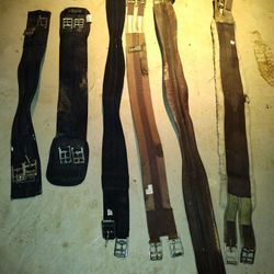 Horse Dressage And English Girth