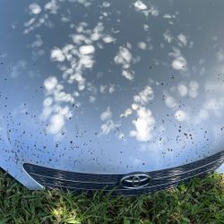 2003 Camry Hood