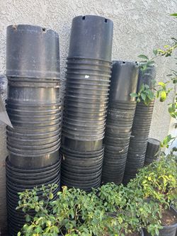 Large Plastic flowerpots – 2 Sizes – $2 Each