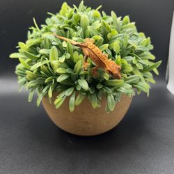 Fake Plant For Crested Gecko
